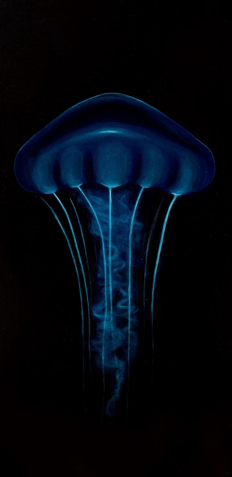 Havilah Abrego — ocean and art