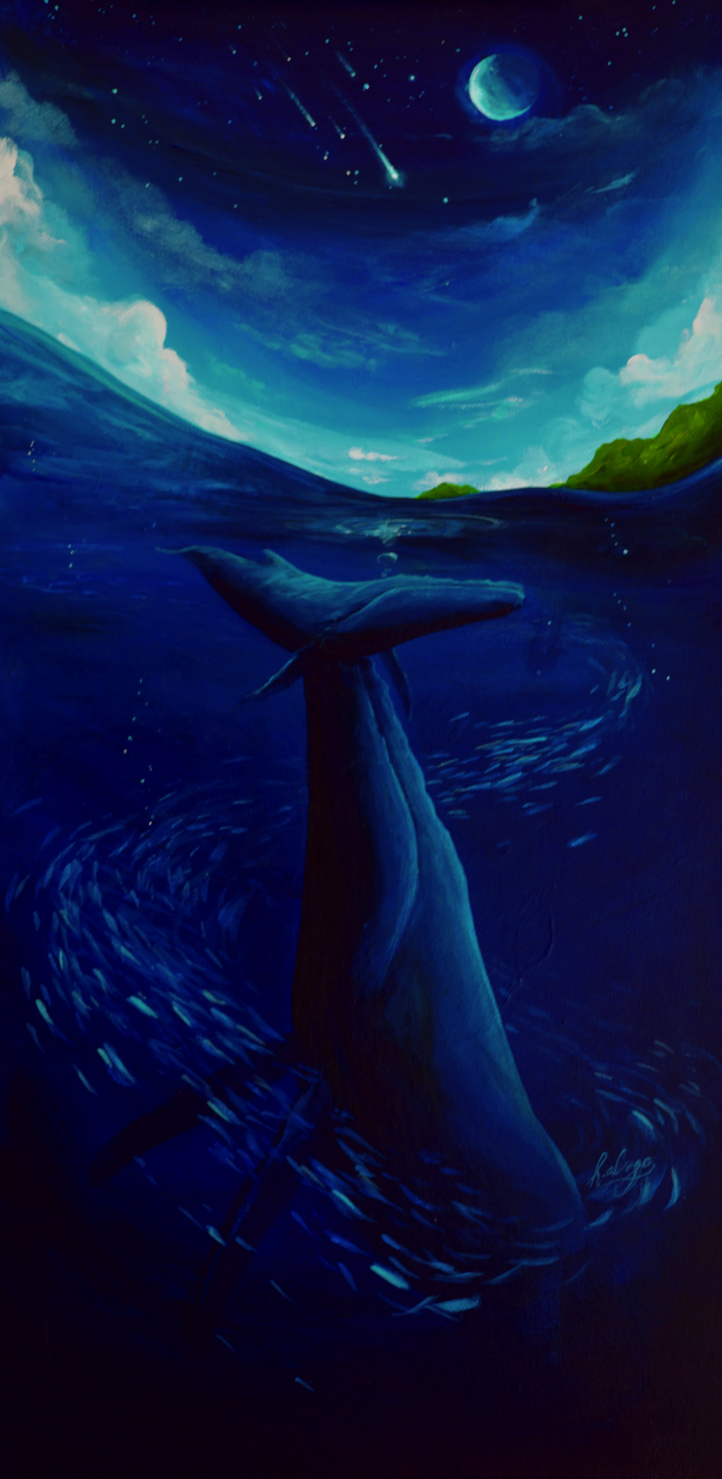 Havilah Abrego — marine biology and painting