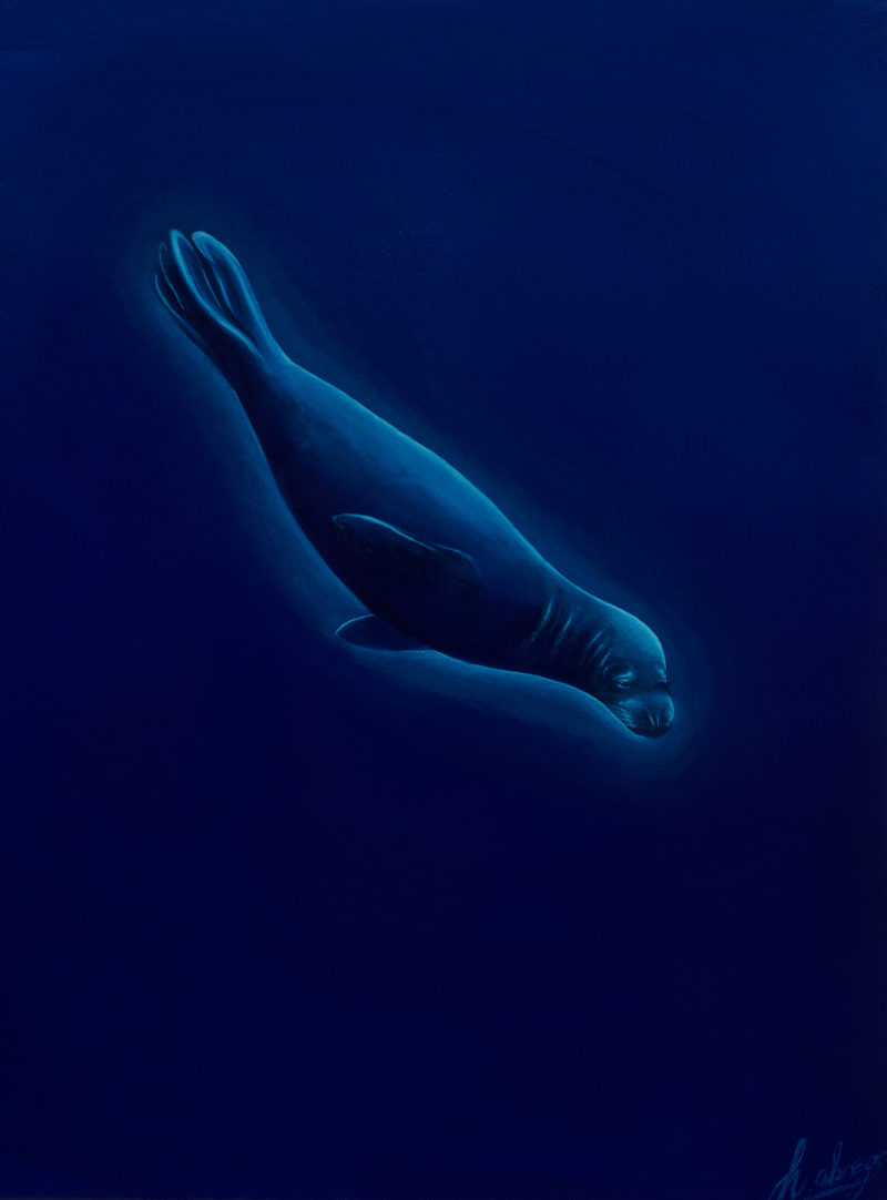 Havilah Abrego — Hawaii art community