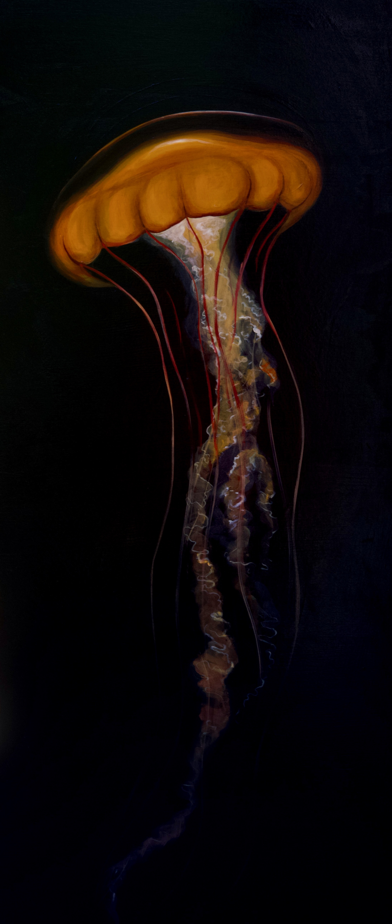 Havilah Abrego — art and conservation