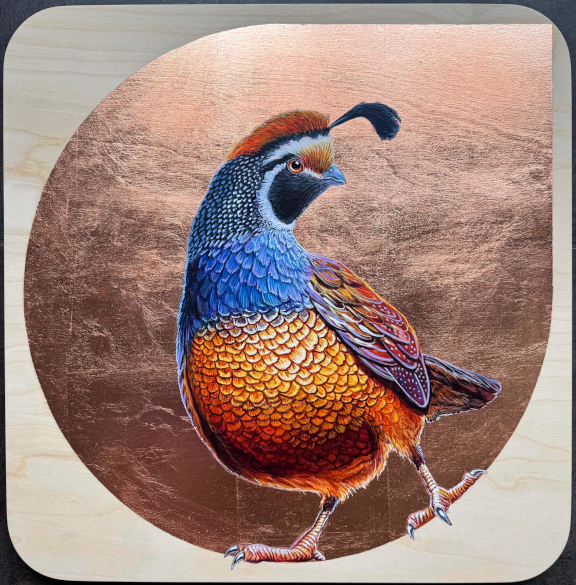 Marie Lavallée — California Quail painting